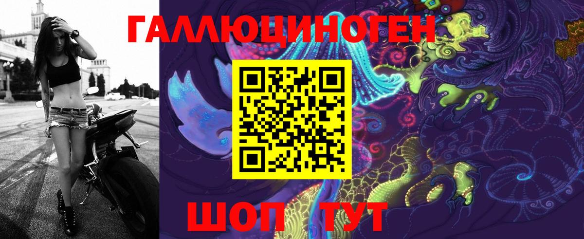 Псилоцибиновые грибы GOLDEN TEACHER Балтийск