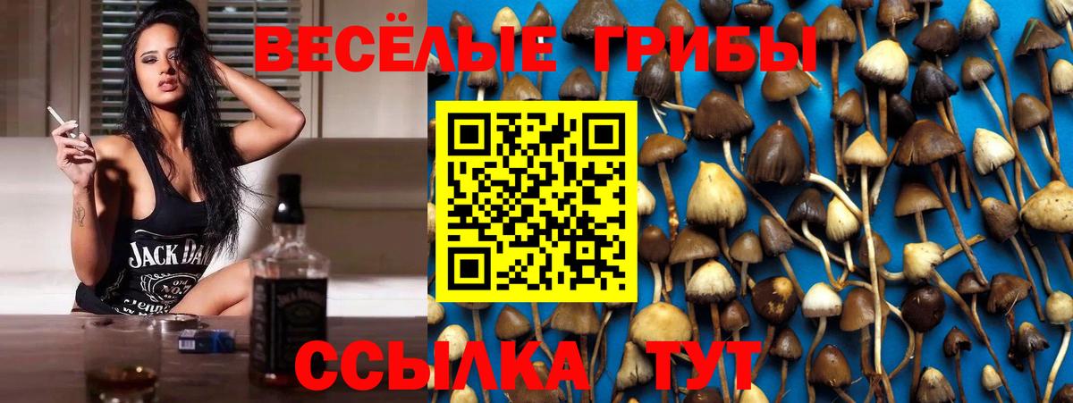 Псилоцибиновые грибы мухоморы  Псилоцибиновые грибы GOLDEN TEACHER  Вход с VPN  Балтийск 
